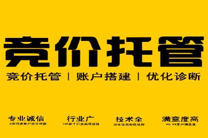 抖音信息流广告的智能投放系统及优化策略